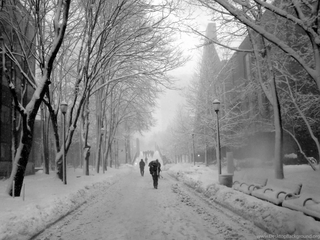Minh's Photolog: Locust Walk