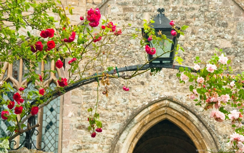 Image, Scenic, Background, Picture, Knoll, Wallpaper, Brent ...