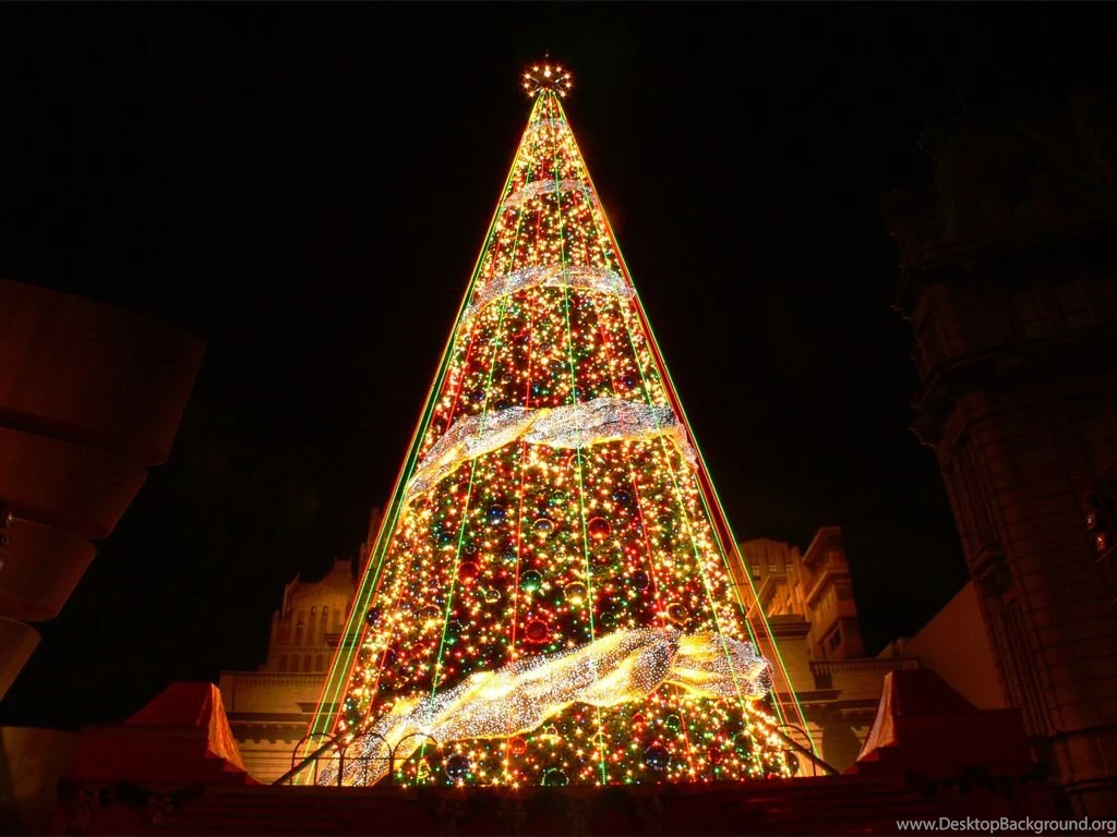 Christmas Tree With Light