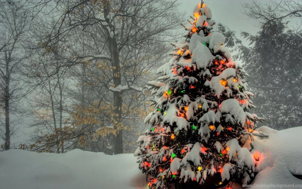 Christmas Tree 1080p Holidays Wallpapers.jpg