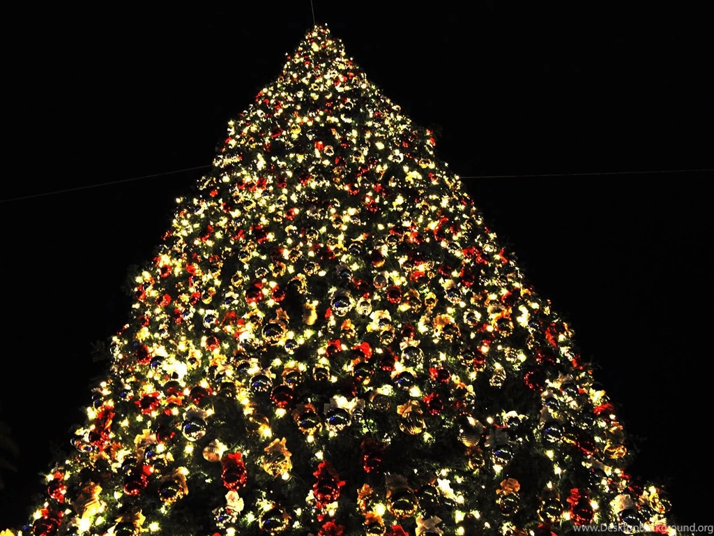 Images Of Christmas Tree HD Wallpapers Pretty