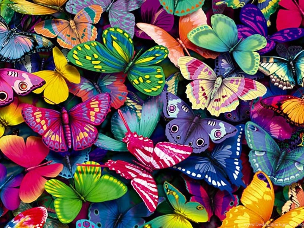 Butterfly Wallpapers Wallpapers Cave