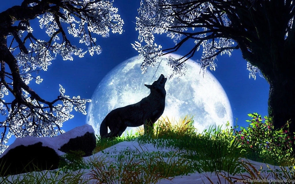 50 Beautiful Free Wolf Wallpapers For Desktop