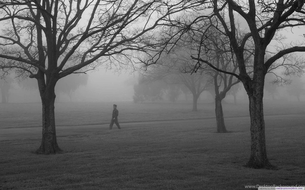 Winter Fog HD 16:9 16:10 Desktop Wallpaper: Widescreen : High ...