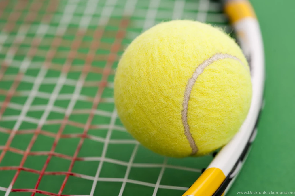 Stock Images By Stockmedia.cc