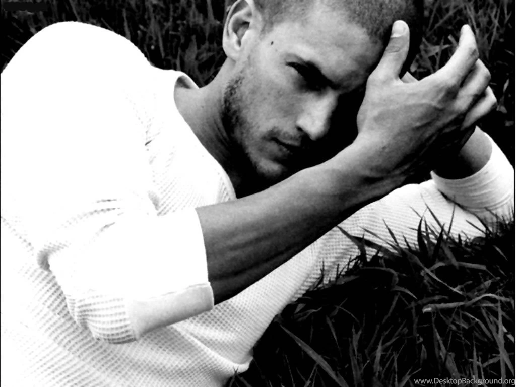 Went Miller Wentworth Miller Wallpapers (638069) Fanpop