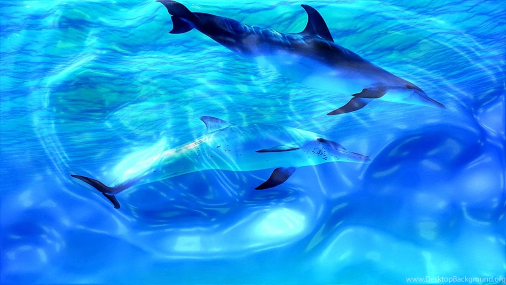 Cool Live Wallpapers For Computer Cool Live Wallpapers For ...