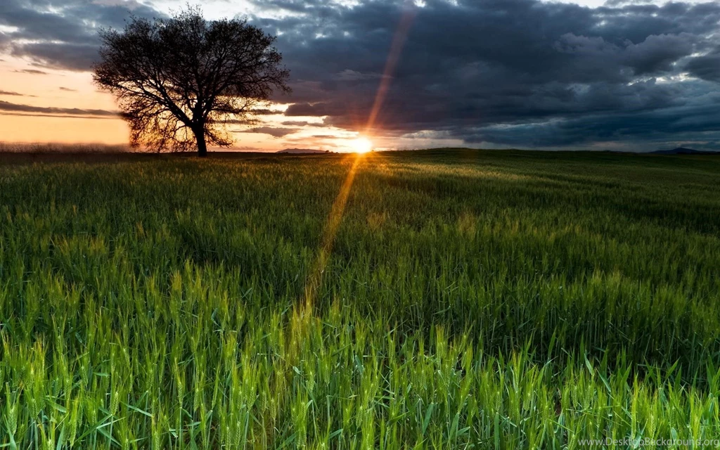 Sunset Wallpapers