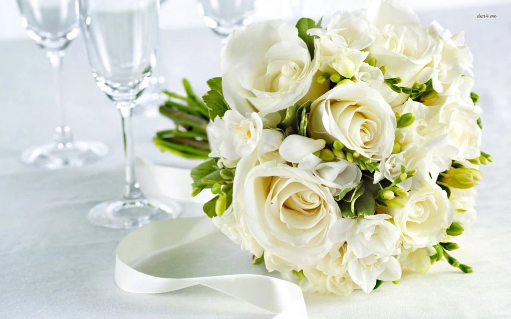 White Rose Pictures Wallpapers GH7
