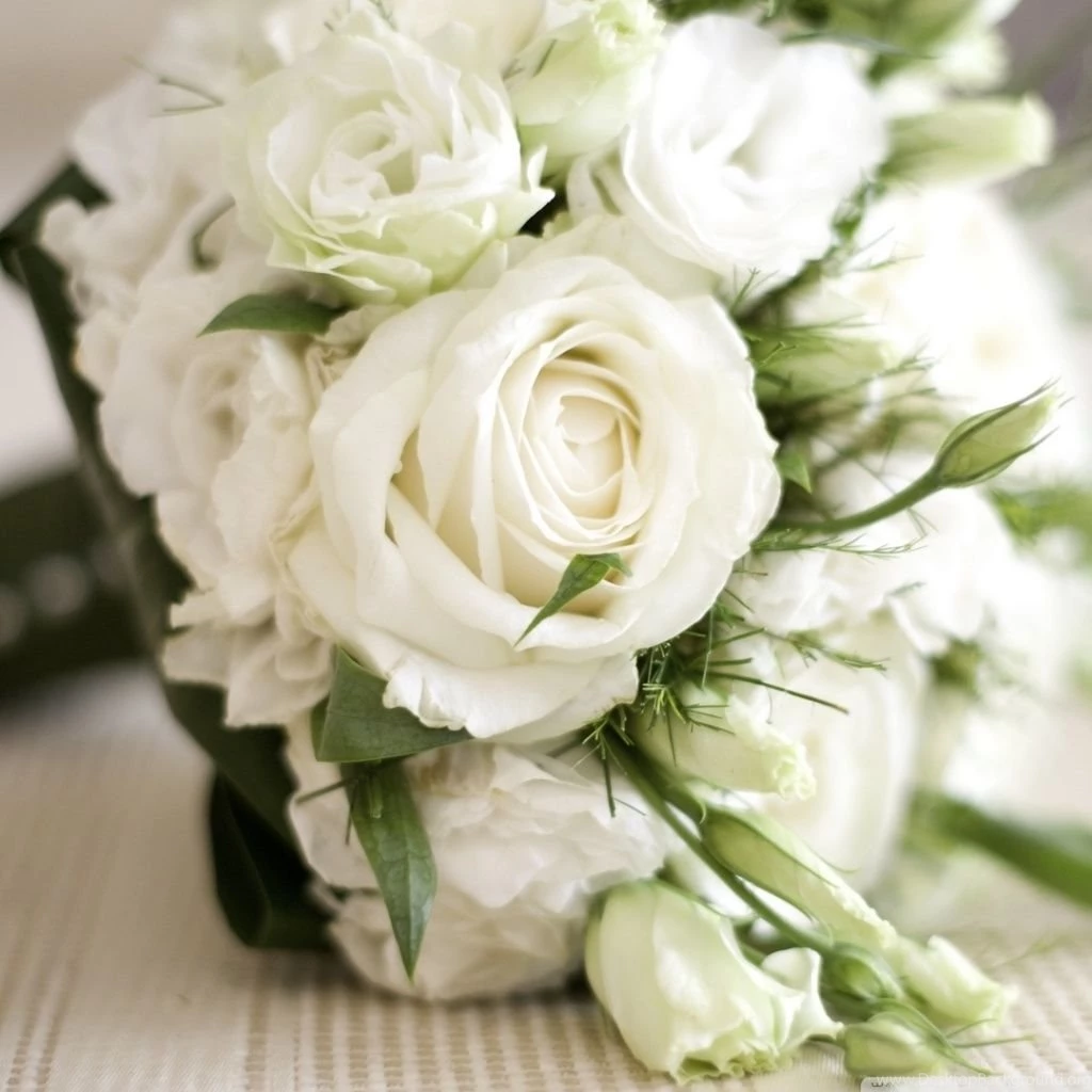 White Roses Bouquet HD Desktop Wallpapers : Widescreen : High ...