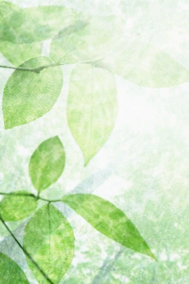 iPhone 4 Leaves Wallpapers