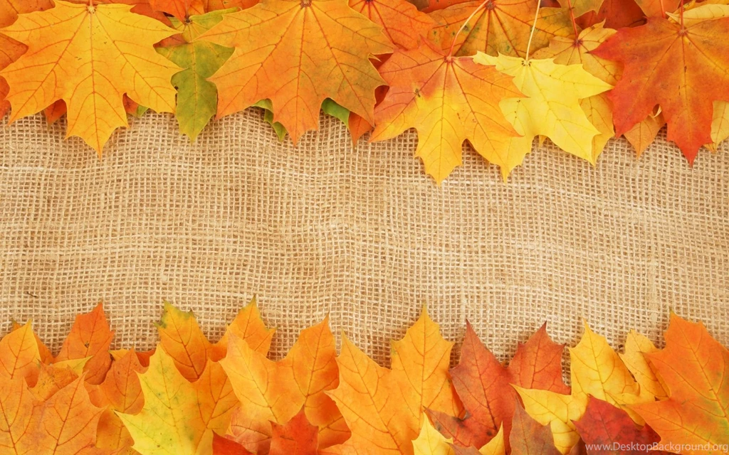 Nature Leaves Backgrounds Thirty seven