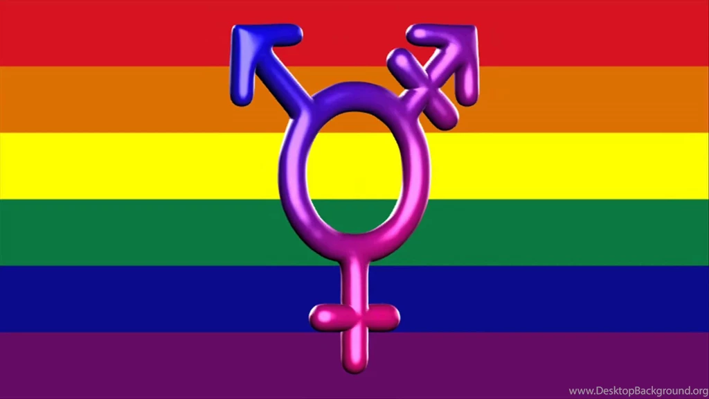 Bandeira LGBT E Transgénero (símbolo) / LGBT Flag And Transgender ...