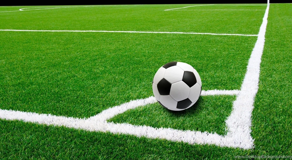 NPSC Week 4 Results