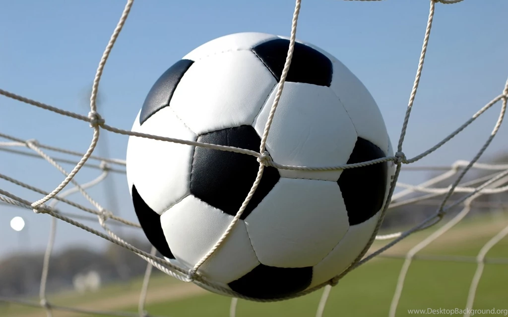 Soccer Ball Net