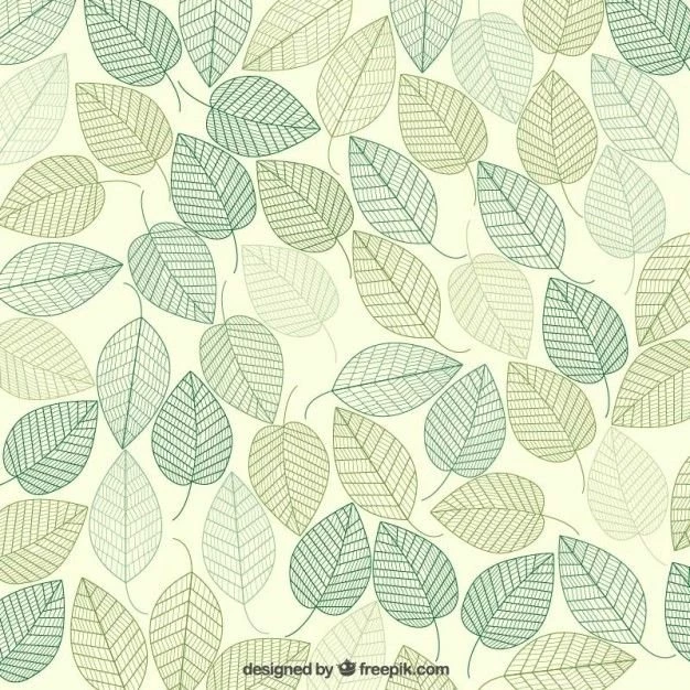 Green Leaves Backgrounds Vector