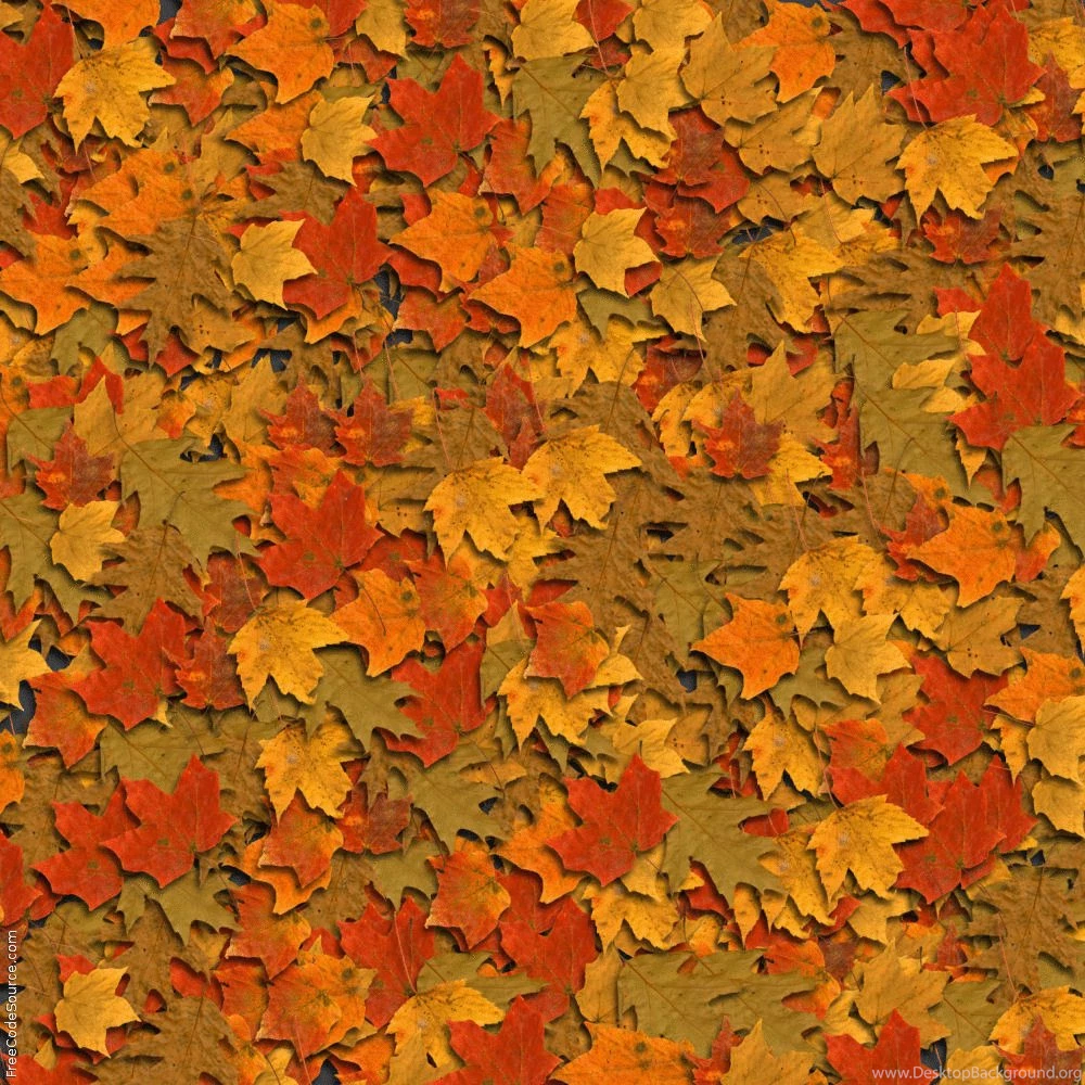 Fall Leaves Backgrounds Wallpapers Cave