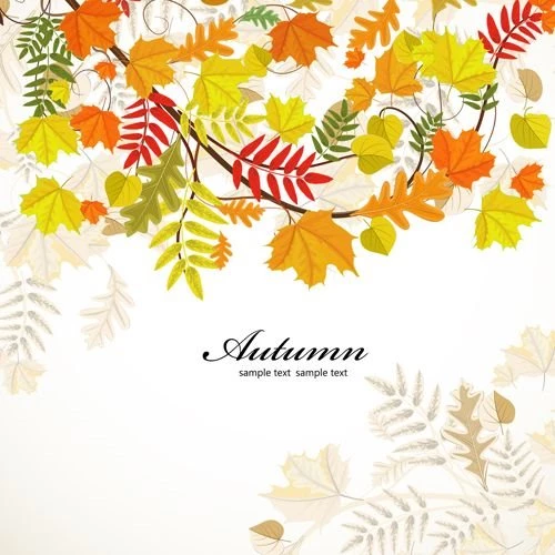 Colored Autumn Leaves Backgrounds Vector Vector Backgrounds Free ...