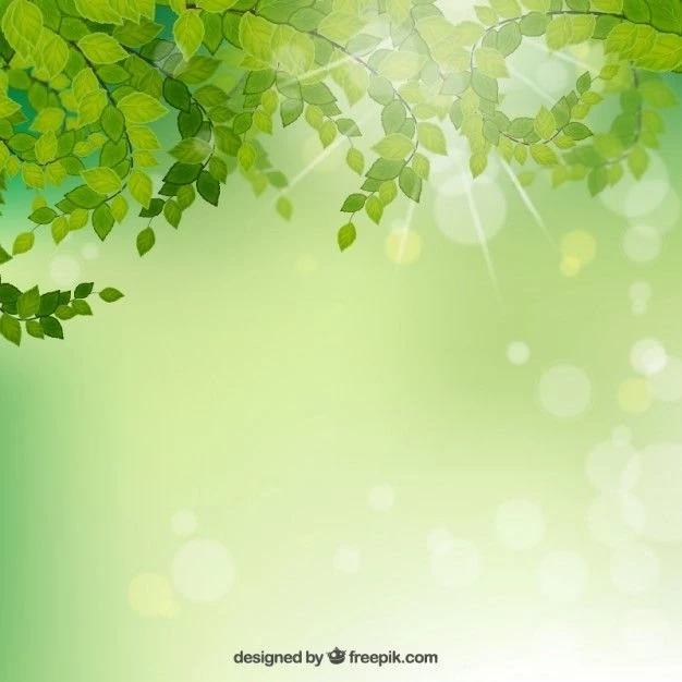 Leaves Vectors, Photos And PSD Files