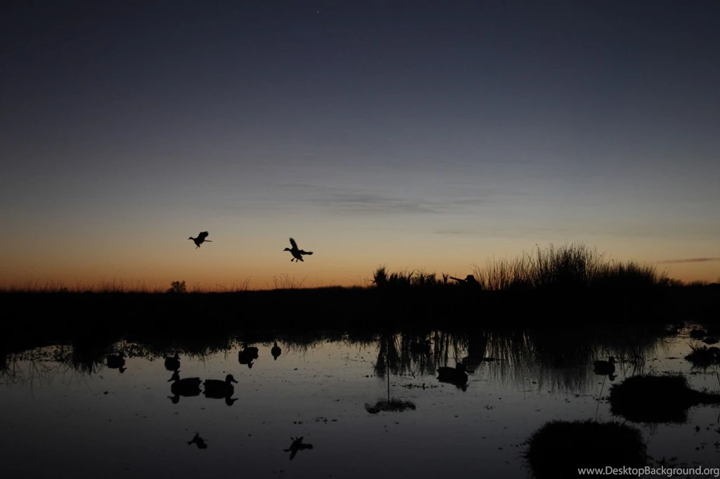 Detail Company Adventures Blog