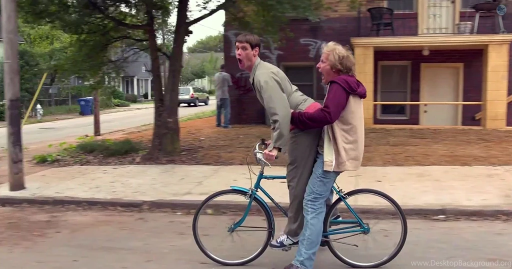 DUMB AND DUMBER Comedy Family Humor Funny (47) Wallpapers ...