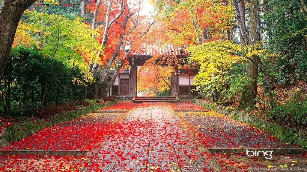 Bing Images Desktop Wallpapers   Wallpapers Cave