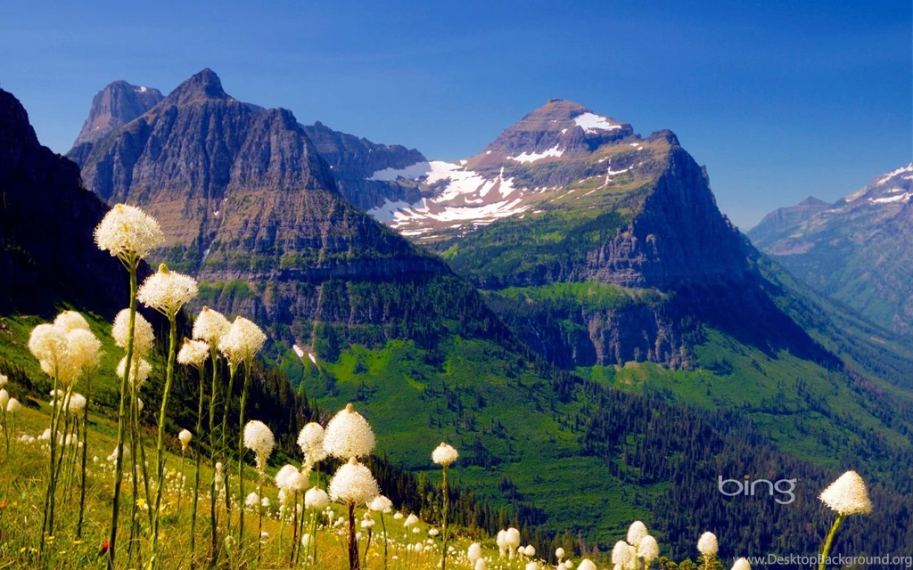 How To Set Bing Backgrounds As Wallpapers On Your Desktop