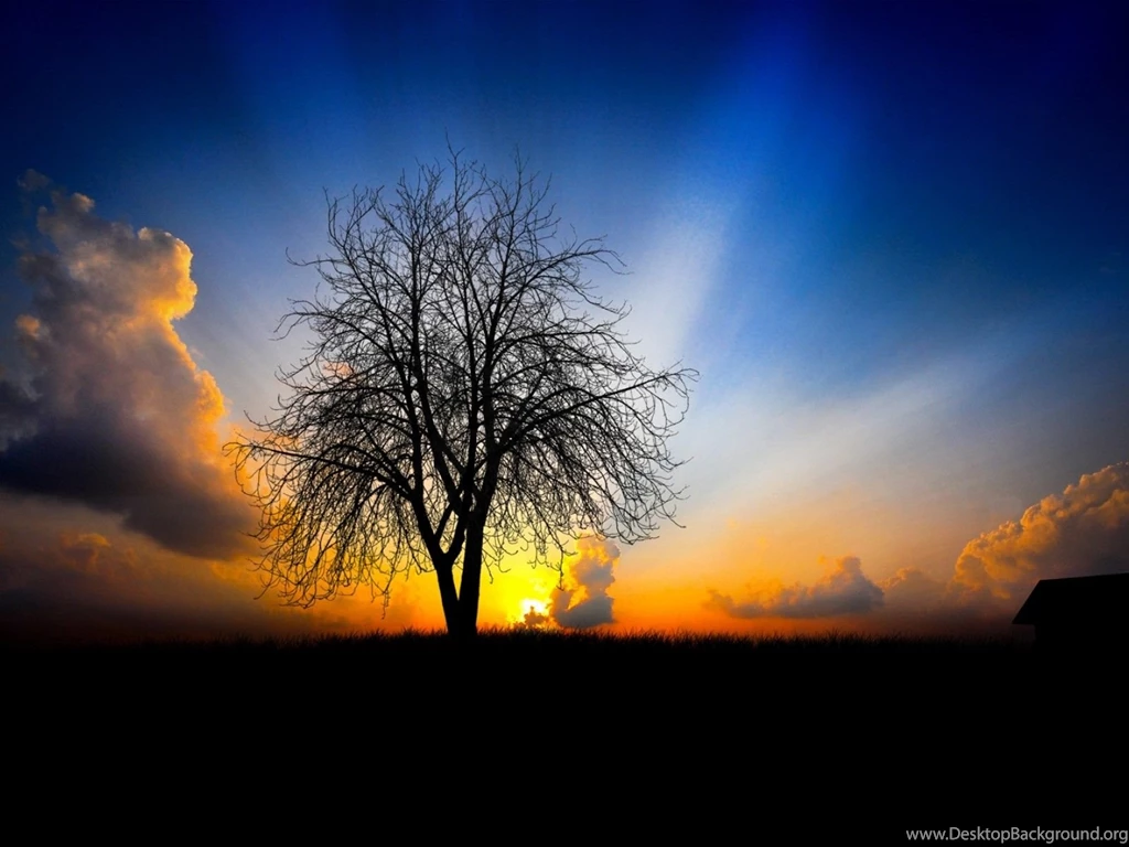 Skydive Wallpapers Desktop