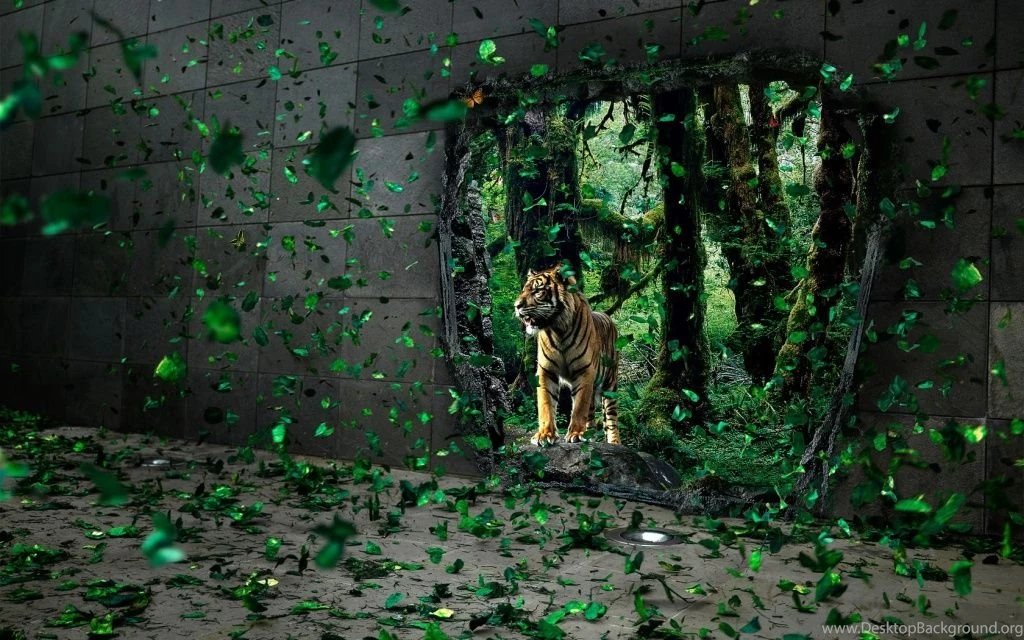 Amazing Wallpapers   Revolution Wallpapers