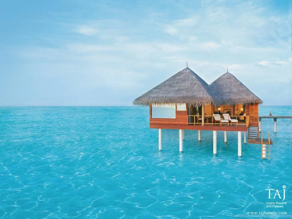 Taj Holidays : Taj Hotels   Resorts   Palaces