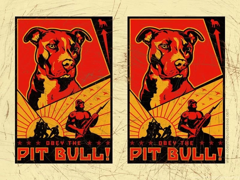 PIT BULL : Obey The Pure Breed! The Dog Revolution