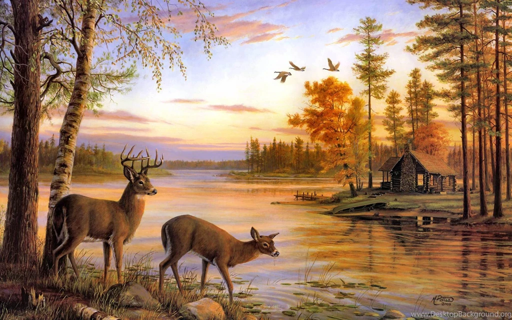 Free Deer Wallpapers Wallpapers Cave