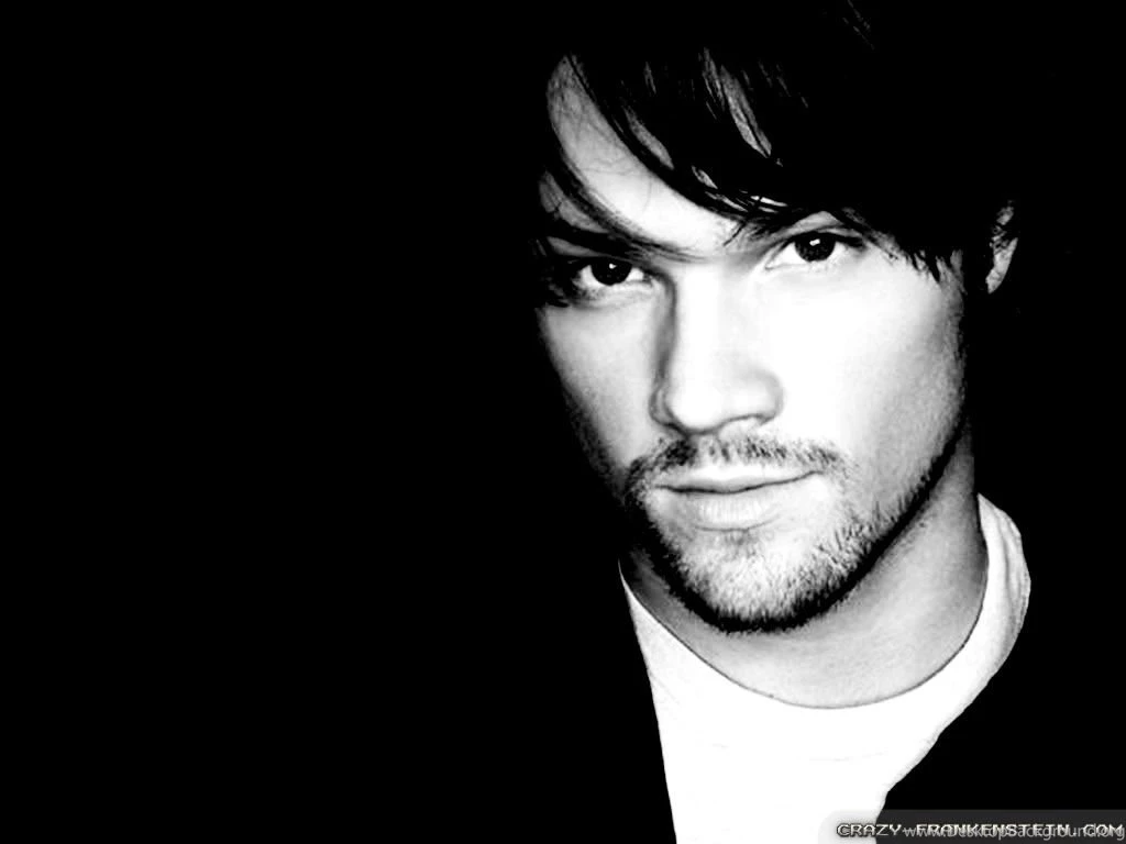 Jared Padalecki Wallpapers   Male Celebrity   Crazy Frankenstein