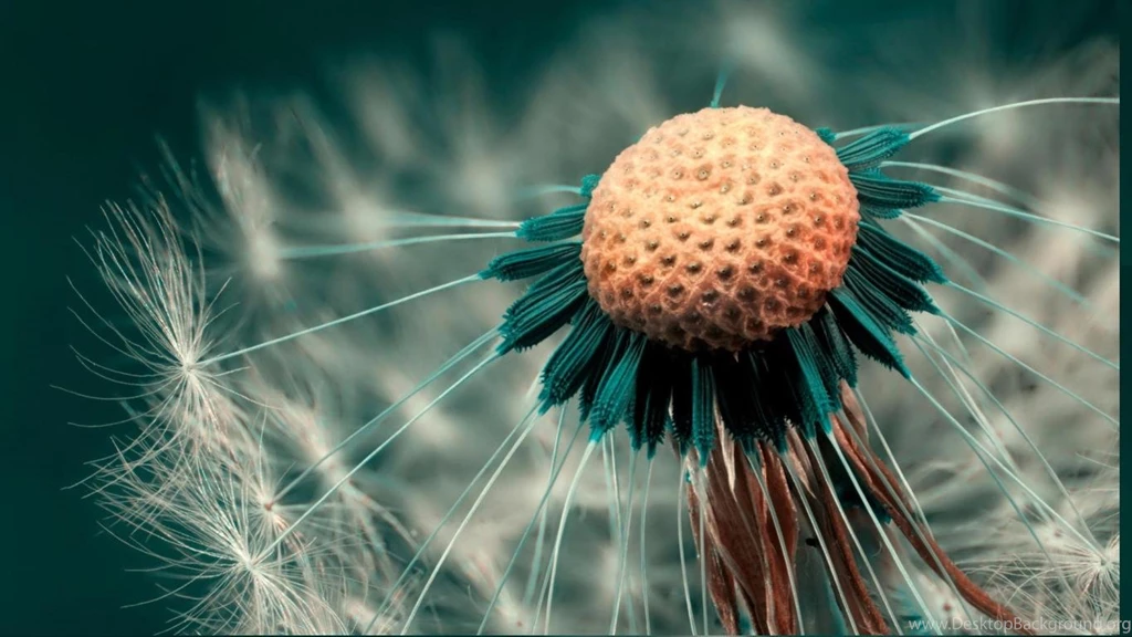 Free Mix HD Wallpapers 4.jpeg