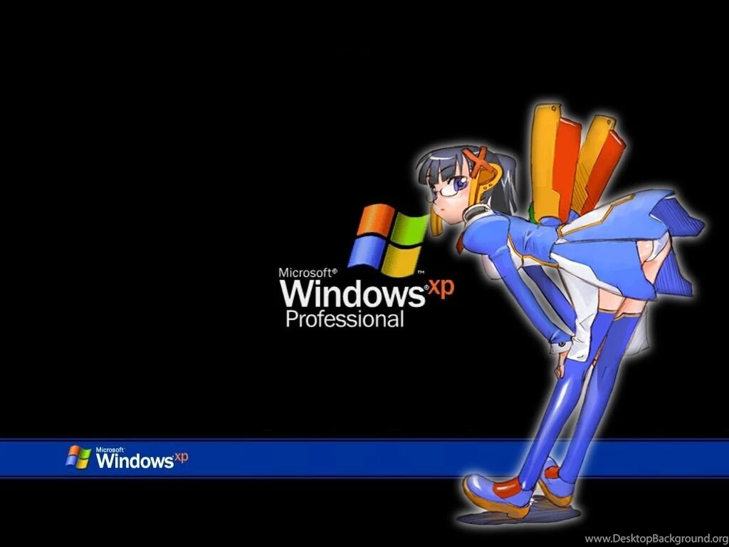microsoft windows xp