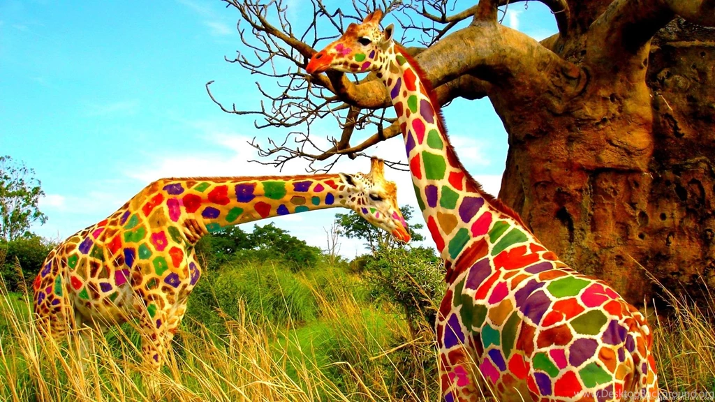 Colored Giraffe Wallpapers 229408
