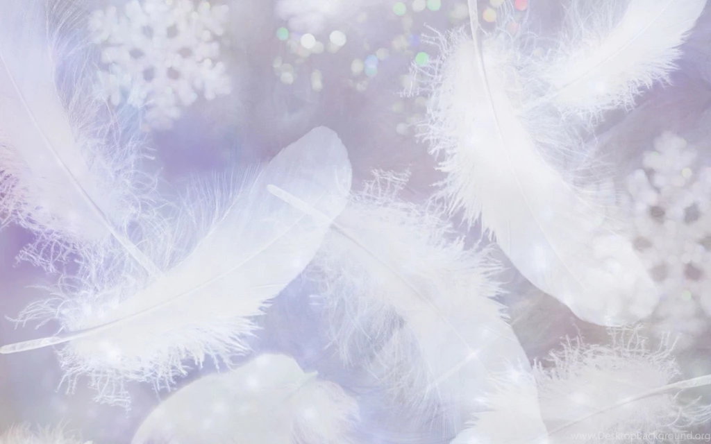 Gallery For   Feathers Backgrounds