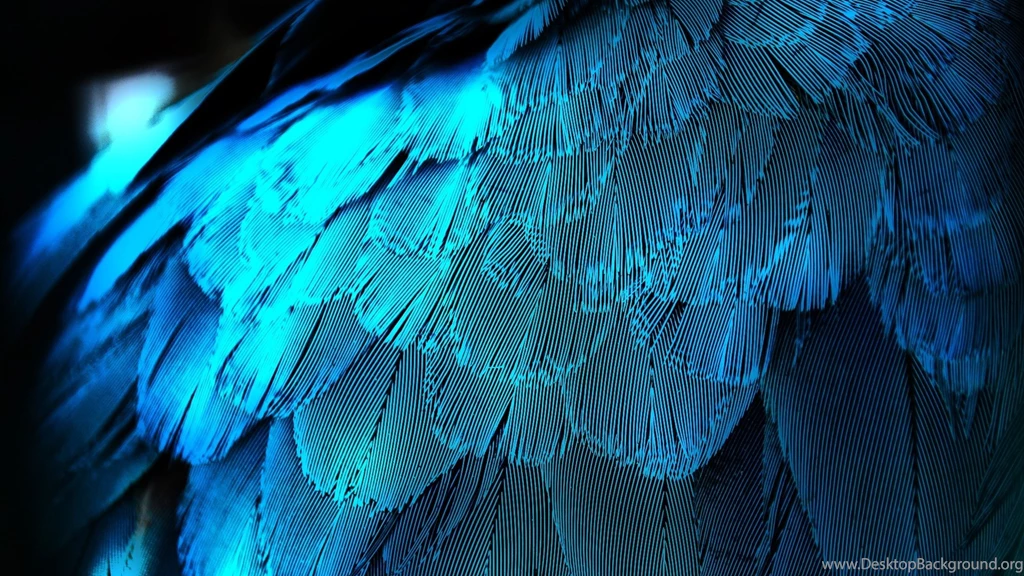 Download Wallpapers 3840x2160 Feathers, Texture, Background, Blue ...