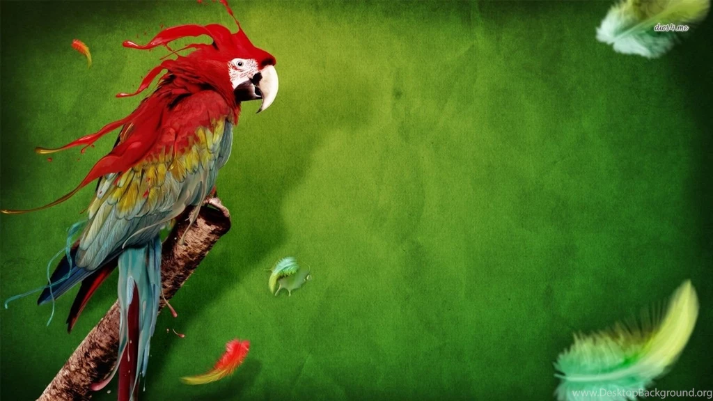 High Definition Parrot Wallpapers For Free Download
