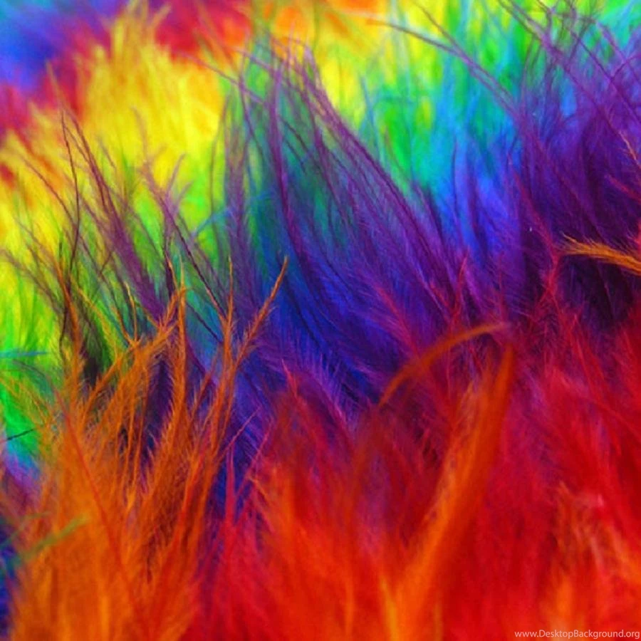 Gallery For   Feathers Twitter Backgrounds