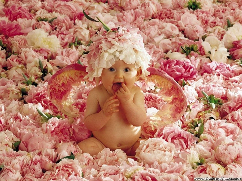 Desktop Wallpapers » Babies Backgrounds » Sweet Baby In The ...