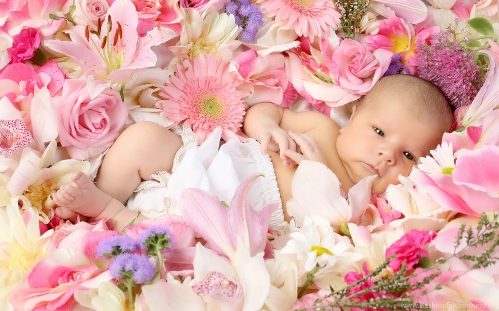 Desktop child baby flowers.jpg