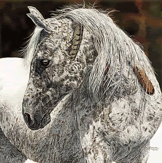 Touch Of Native Pride And Spirit On Pinterest