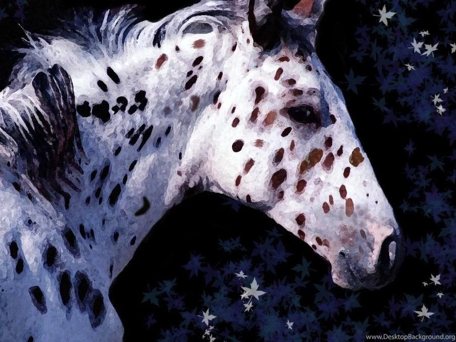 Appaloosa: My Favorite Horse By Angela239 On DeviantArt
