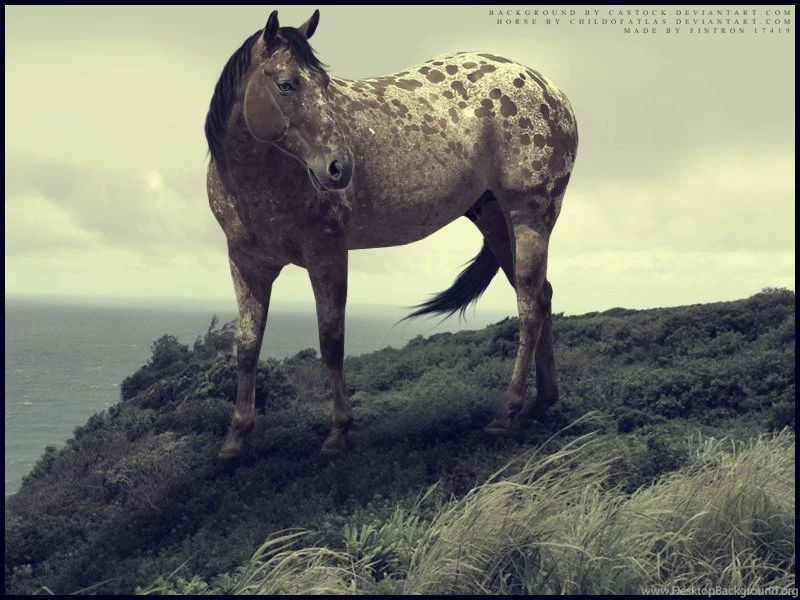 Browsing Artisan Crafts On DeviantArt