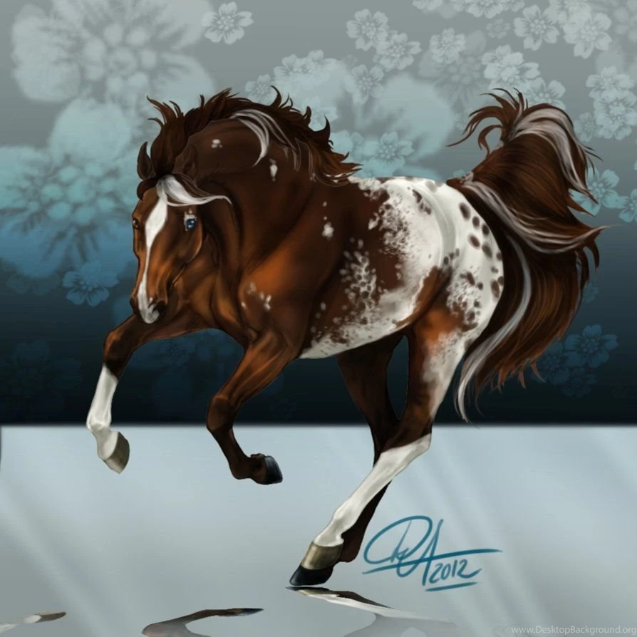 Howrse Coat Appaloosa By Darya87 On DeviantArt