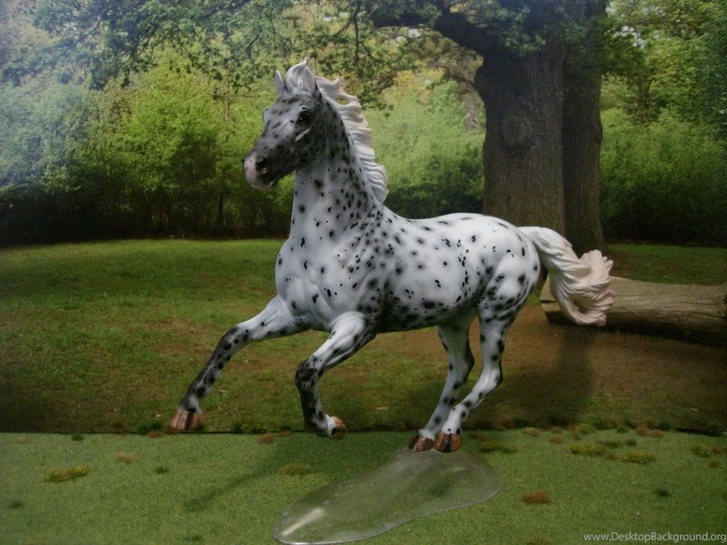 Custom Breyer Ideal To Appaloosa By DawnImagination On DeviantArt
