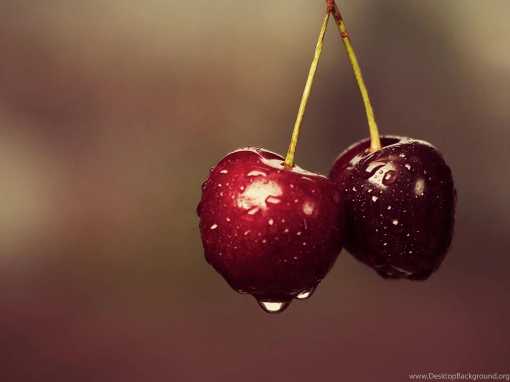 Photography   Page 311