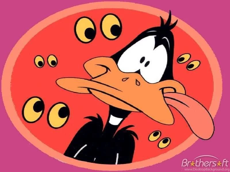 Download Free Daffy Duck Lovely Wallpaper, Daffy Duck Lovely ...