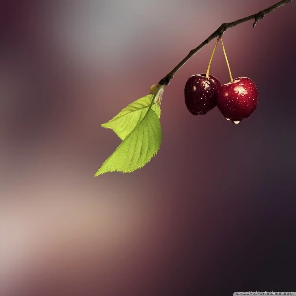 Two Cherries HD Desktop Wallpapers : Widescreen : High Definition ...
